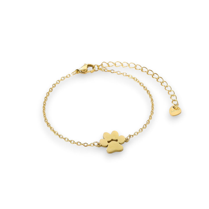 Golden Paw Print Solidarity Bracelet