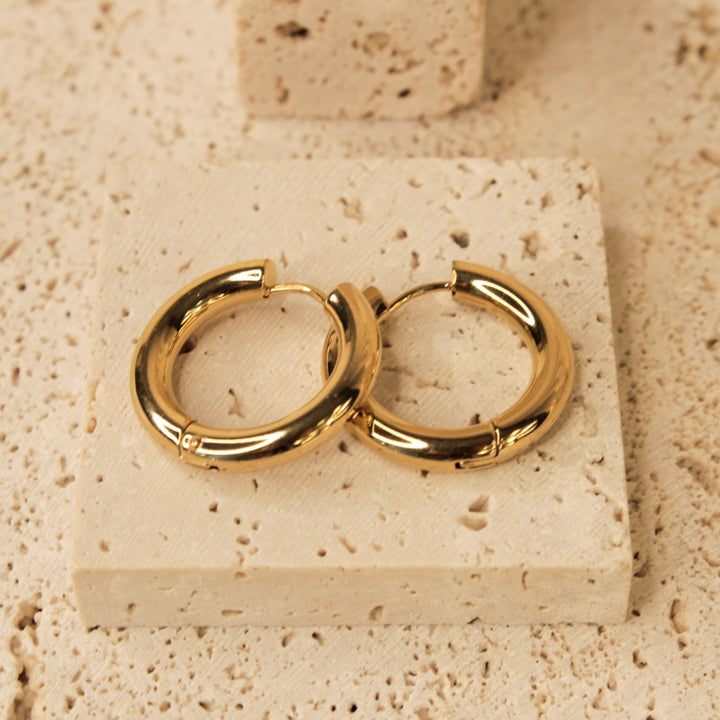 Elegant Golden Hoop Earrings