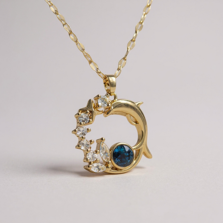 Collar con colgante de delfín cósmico: elegancia en acero inoxidable